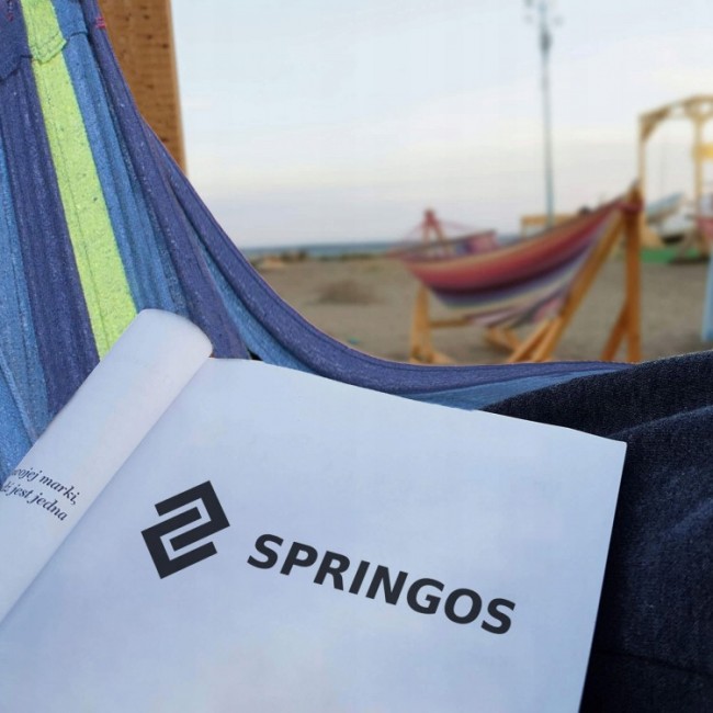 Гамак подвесной с деревянными перекладинами Springos 200 x 80 см HM028