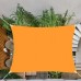 Тент-вітрило тіньової для будинку, саду і туризму Springos 4 x 2 м SN1039 Orange