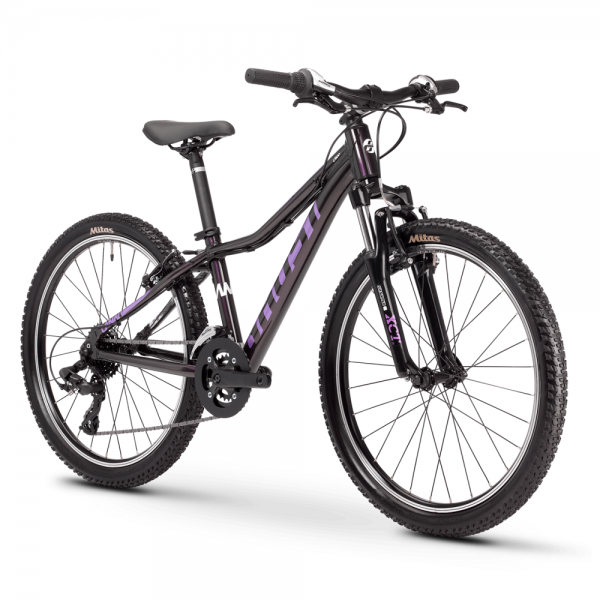 Детский велосипед Ghost Lanao Base 24", рама one-size, фиолетовый, 2021