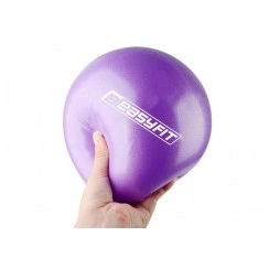 Мяч для пилатеса EasyFit 25 см фиолетовый
