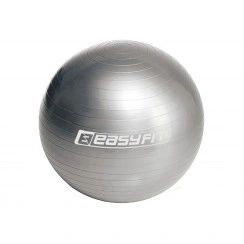 Мяч для фитнеса EasyFit 55 см серый
