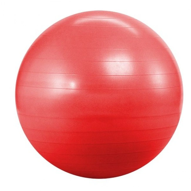 Фитбол (мяч для фитнеса, гимнастический) Landfit Fitness Ball 55cm with Pump Фитбол (мяч для фитнеса, гимнастический) Landfit Fitness Ball 55cm with Pump