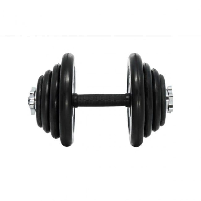 Гантелі набірні Generation Fitness DB-01-31 кг (ручка - каучук) пара