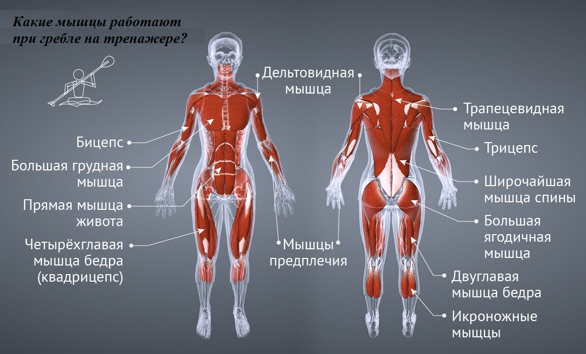 Зумба: что это такое, польза фитнес-танца для похудения | Блог HitFitness