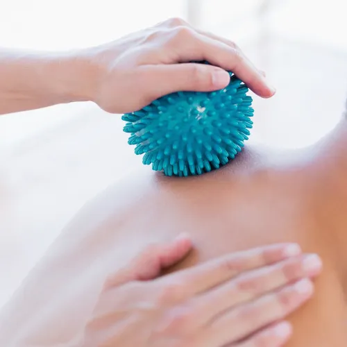 Рекомендован тренерами и пользователями